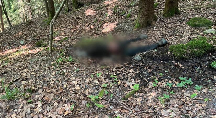 Holttestre bukkantak Kárpátalján, a határ közelében