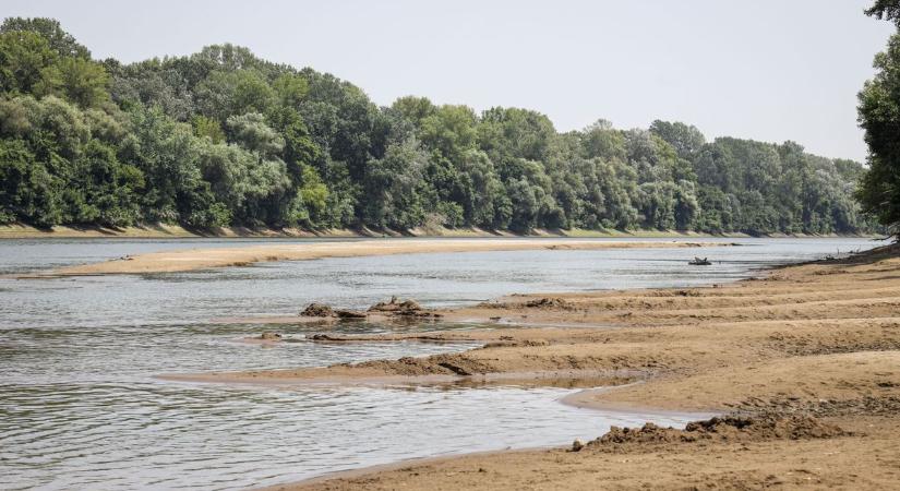 Újra előbukkant a cibaki sziget – most valami egészen mást mutatott meg