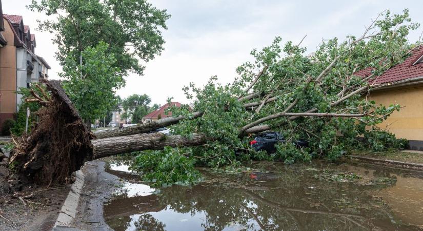 Már-már ijesztő fotókon mutatjuk, mit hagyott maga után a keddi vihar