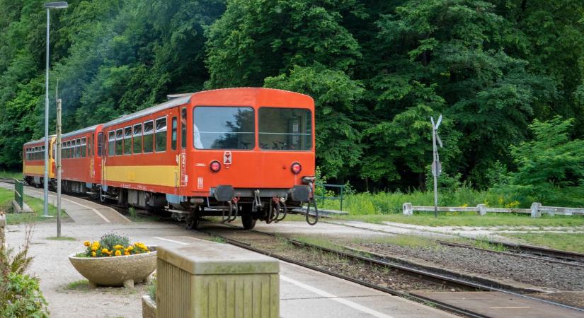 Kidőlt fának ütközött a vonat Bakonyszentlászló és Vinye között