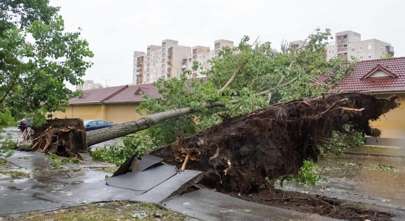 A legnagyobb lakótelepet is megcibálta a vihar
