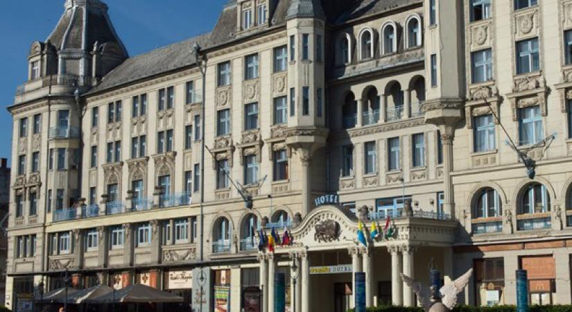 Brutális számokkal zárta tavalyi évét az MCC alapítványa