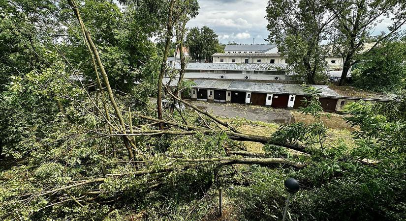 A keddi viharok Debrecenben is okoztak üzemzavart