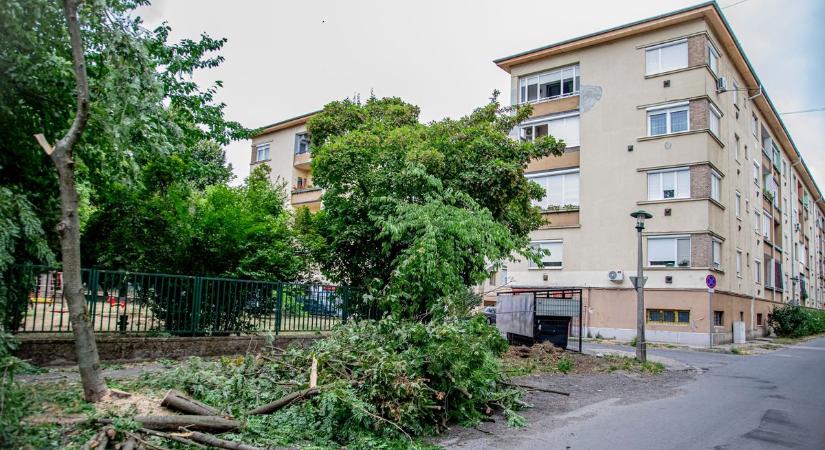 Elmarad a kátyúzás, de jönnek a markológépek – ezek az utcák érintettek Miskolcon!