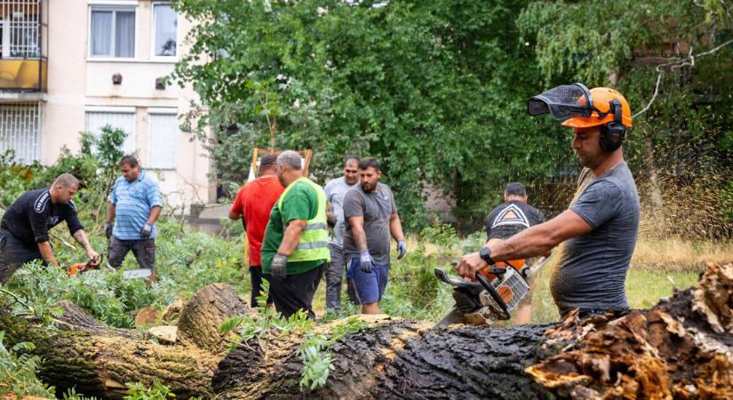 A debreceni összefogás példa nélküli Papp László polgármester szerint