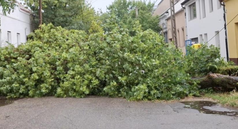 Vihar Debrecenben: erre nem volt felkészülve a város