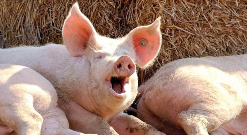 Még nem jött el a fordulat az agrárhitelezésben