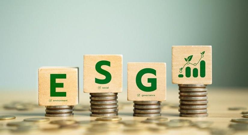 ESG kritériumok: a fenntartható vállalatok működésének alapja