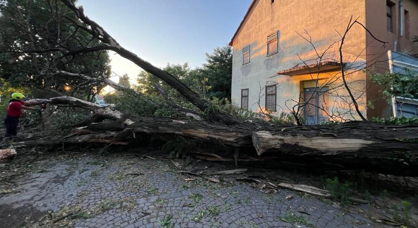 OKF: szerda reggelig 9752 káresetről érkezett bejelentés