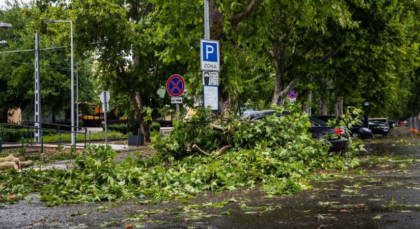 Rendkívüli helyzet miatt nem nyit ki a debreceni intézmény