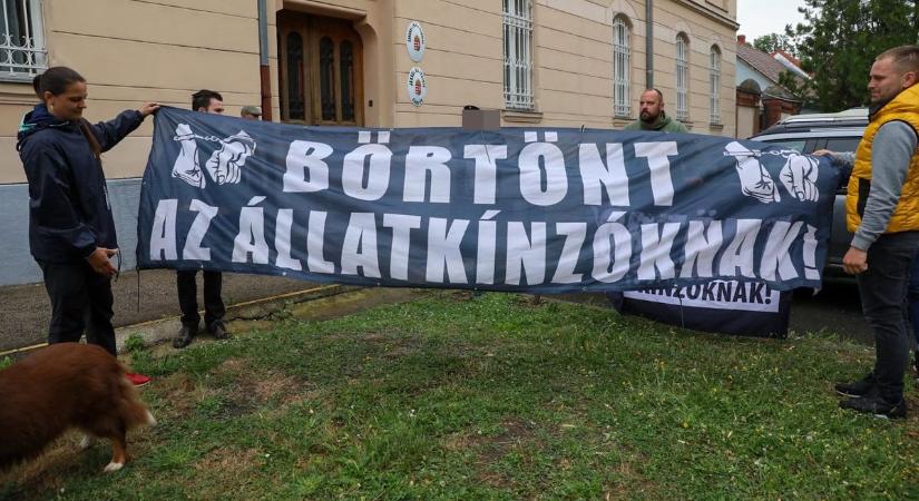 Tüntetők várják a bíróság előtt az osztrák állatkínzót Sárváron - helyszíni fotók