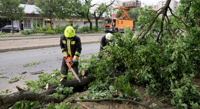 Vihar: még mindig folyik a károk elhárítása, miközben Európa a "csendes gyilkossal" küzd