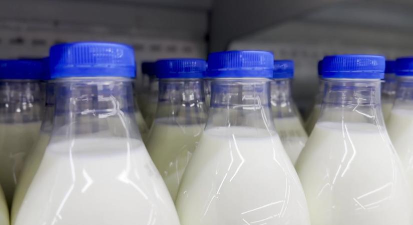 Visszaesett az agrárexport, csökkent a külkereskedelmi többlet
