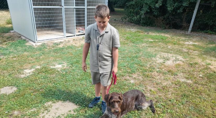 A gyerekek birodalmává vált a martonfai vadászközpont – VIDEÓ