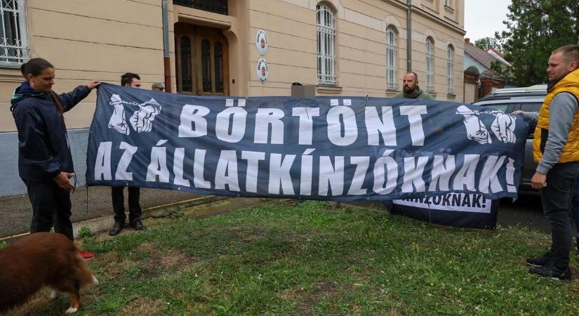 Ma áll bíróság elé a térségünkben horrortelepeket működtető kutyaszaporító nő - tüntetnek ellene