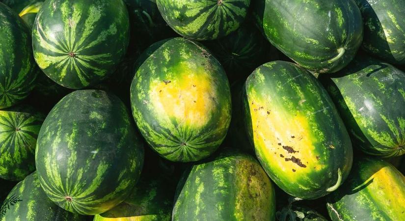 Kettévágta a dinnyét, majd a látványtól minden szín kifutott az arcából