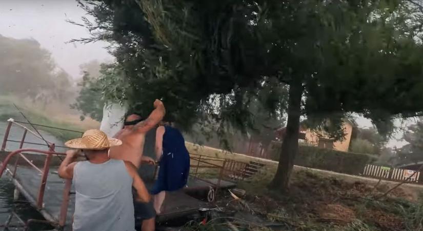 Életveszély a Keleti-főcsatornán, ijesztő videón, ahogy horgászokra szakad egy hatalmas fa