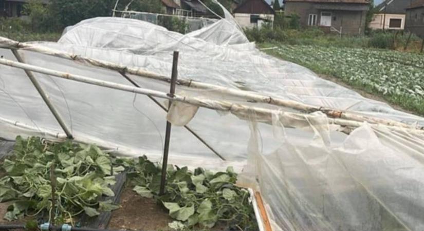 Jelentős károkat okozott a vihar a fóliagazdaságokban - Tart a helyreállítás