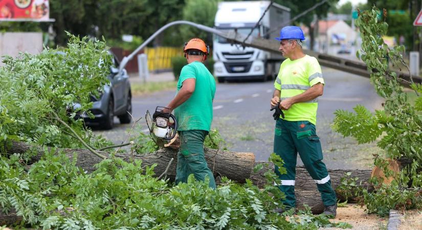 Kiderült, mi okozta a legtöbb kárt, a vihar után ömlenek a bejelentések Bács-Kiskunból a biztosítókhoz