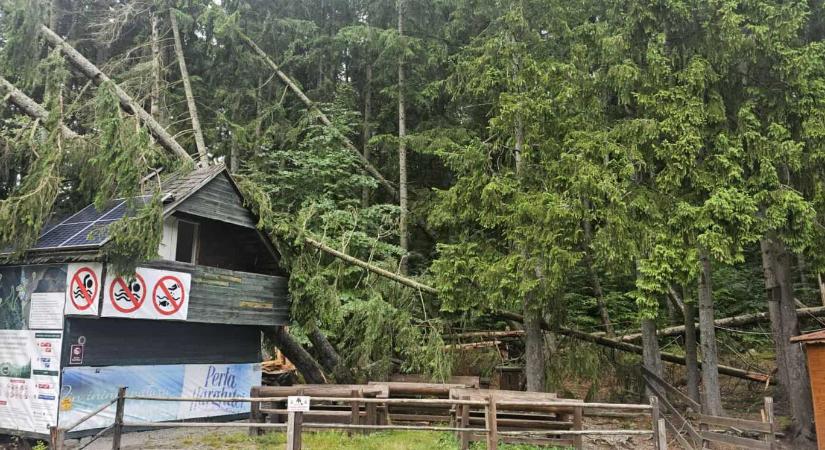 Fákat döntött ki a vihar a Szent Anna-tónál