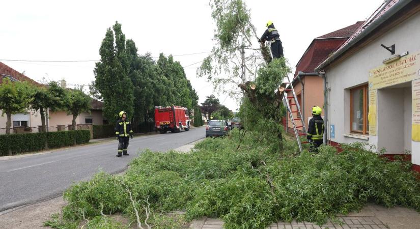 Viharkárok Somogyban: villanyvezetékre szakadt a fa Kaposváron