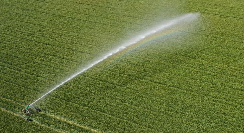 Hatalmasat spórolnak a gazdák az ingyenes öntözővízzel, búsulhat a Tisza