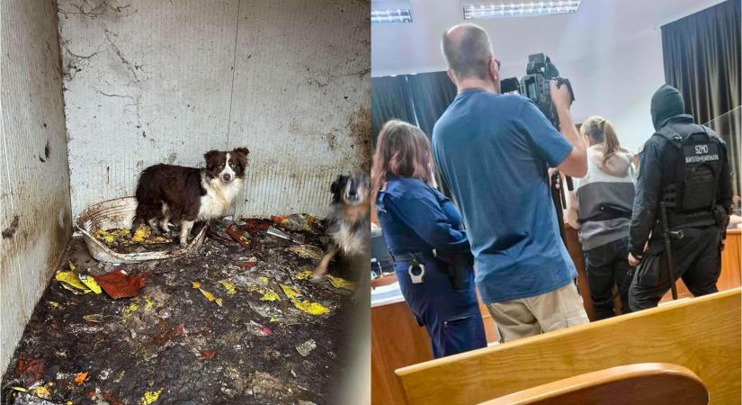 Döntött a magyar bíróság a hírhedt osztrák szaporító ügyében