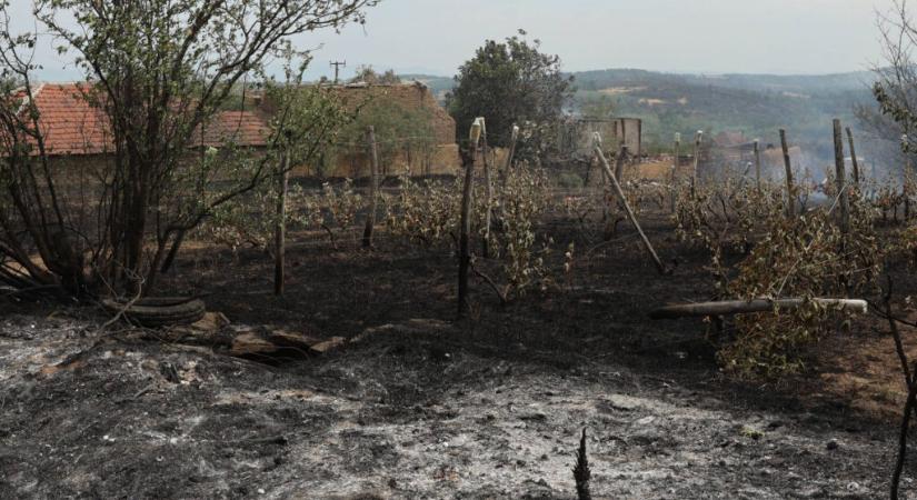 Állami segítséget kapnak a tűzkárok miatt bajba jutott mezőgazdasági termelők