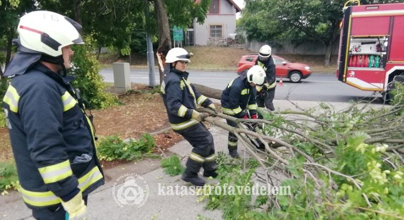 Fakidőlésekhez, nagyméretű faágak leszakadásához vonultak a tűzoltók vármegyénkben
