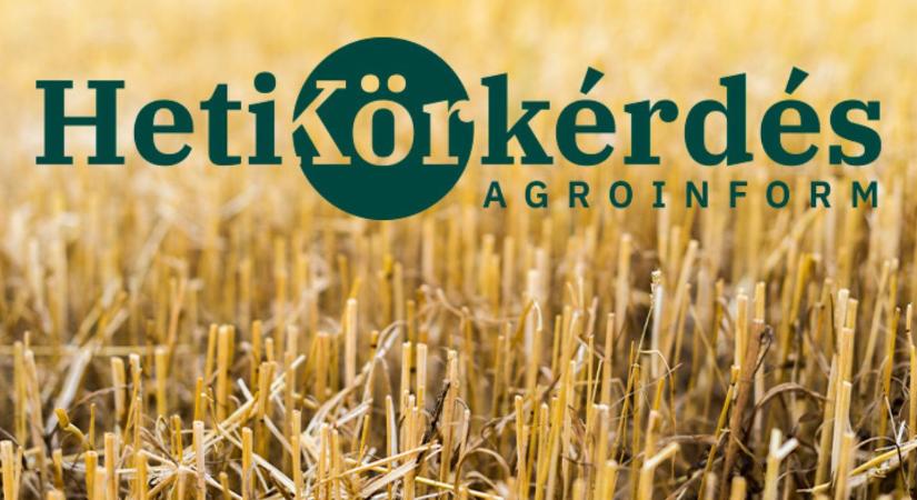 Mit jelent a rendszerszintű gondolkodást szem előtt tartó, hatékony tarlókezelés? – Heti Körkérdés