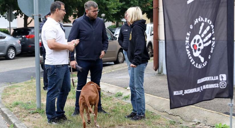 Vámos Zoltán: jelzésértékű, ha így is támogathatom a civileket