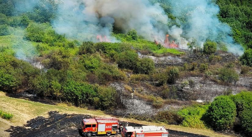 Kárpátalja lángokban: több mint 1100 avartüzet oltottak el az év kezdete óta