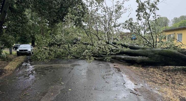 A nyári zápor károkat okozott Lőrinciben is 
