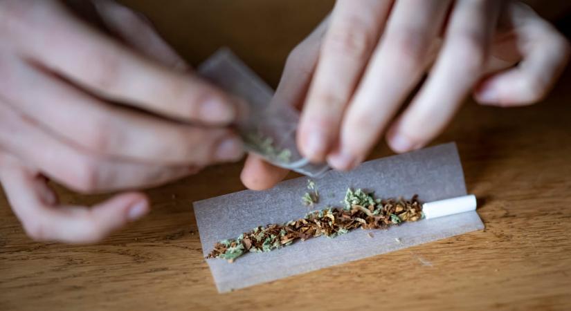 Perui drogkereskedőt fogtak el egy nógrádi fesztiválon