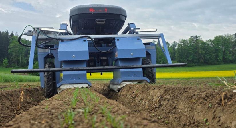 Ez a svájci robot gyomlál helyetted – vegyszer nélkül, éjjel-nappal! VIDEÓ