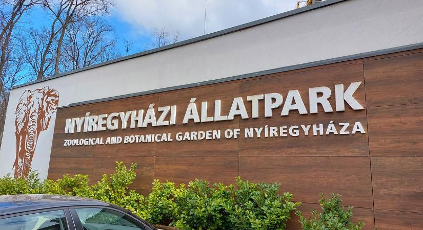 Hulmán érkezett a Nyíregyházi Állatparkba (videó)