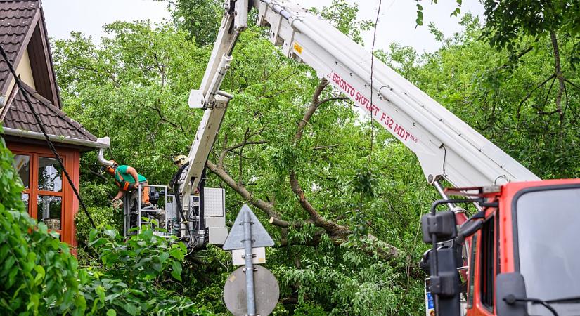 Saját e-mail címet hozott létre Debrecen önkormányzata a vihar károsultjai számára