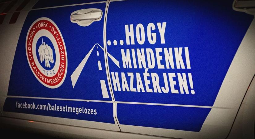 Ennyien haltak értelmetlen halált eddig idén a hevesi utakon