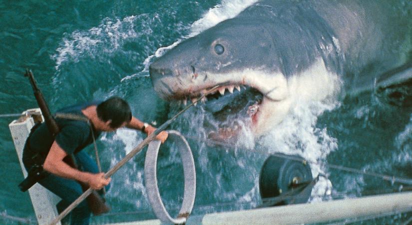 Spielberg félt, hogy a frusztrált stábtagok vízbe vetik, mégis megírta a nyári kasszasiker receptjét