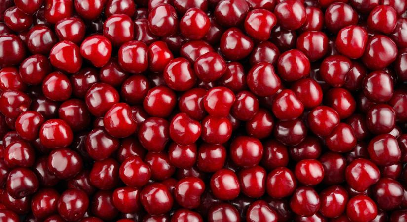 Hihetetlen, mennyi teremhet ebből a gyümölcsből idén a németeknél