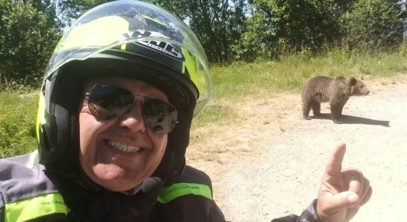Az anya medve csak a bocsát akarta megmenteni – Heves vita alakult ki a turista halálával kapcsolatban