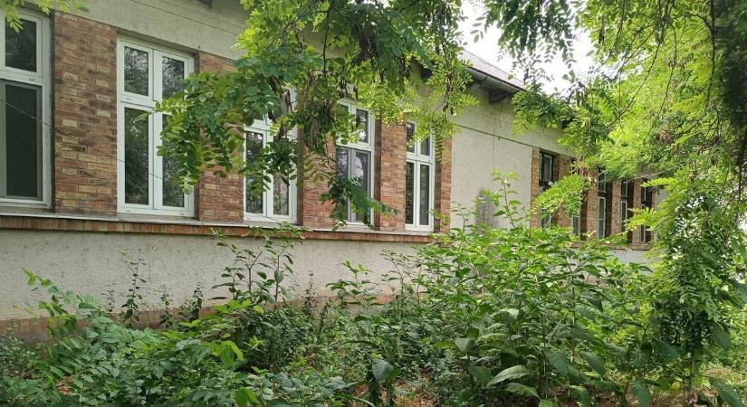 Babettával Olaszországban, szétrohadt iskola Szegeden – volt itt minden