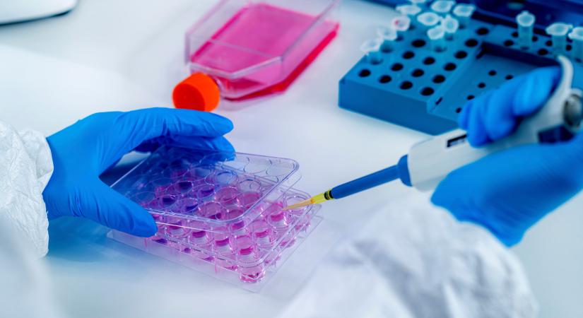 Pécsett is vizsgálják a mutáns koronavírust: eddig maradhatnak a járványügyi intézkedések