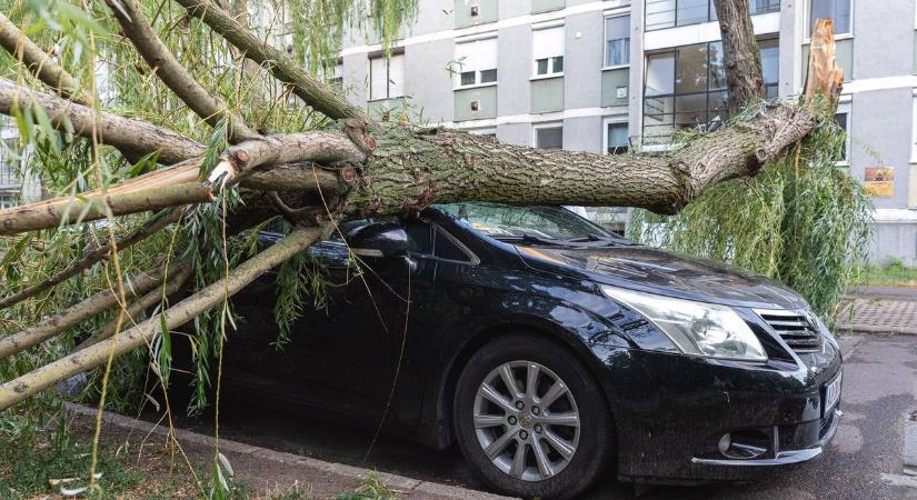 Elintézte a vihar a féltve őrzött kocsidat? Nem biztos, hogy csak a casco fizet!