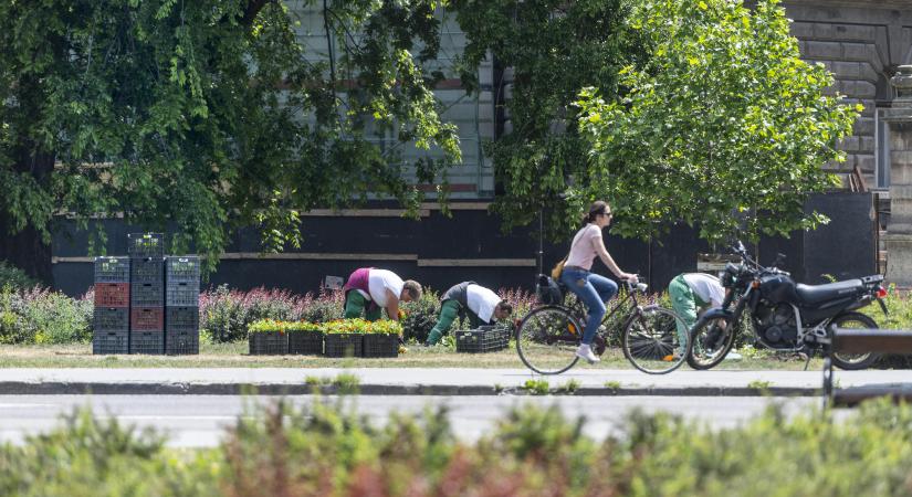 Vallomást tett a parkfenntartási biznisz központi figurája: aggódhatnak a kormánypárti és a baloldali szereplők is