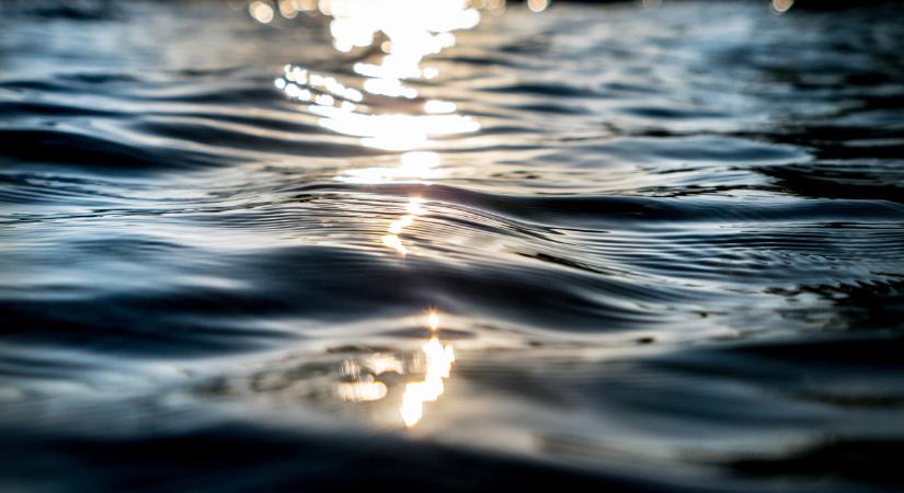 Különleges élőlény terjed a Kis-Balatonban: durva, mit csinál a tóban
