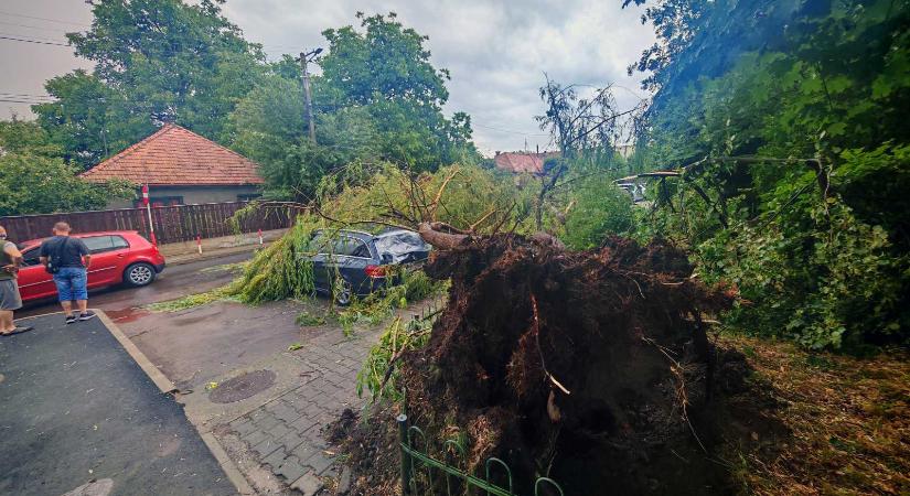 Vihar Kézdivásárhelyen – fák dőltek, autó rongálódott
