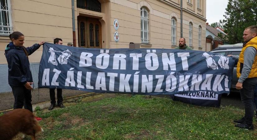 Tüntetők várták az osztrák állatkínzót a bíróság előtt Fotók