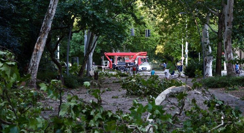 Még tart a küzdelem a viharkárok ellen – helyzetjelentés
