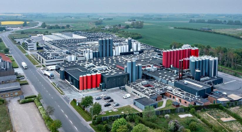 59,4 millió euróból bővíti az Arla a krémsajtgyártást Dániában